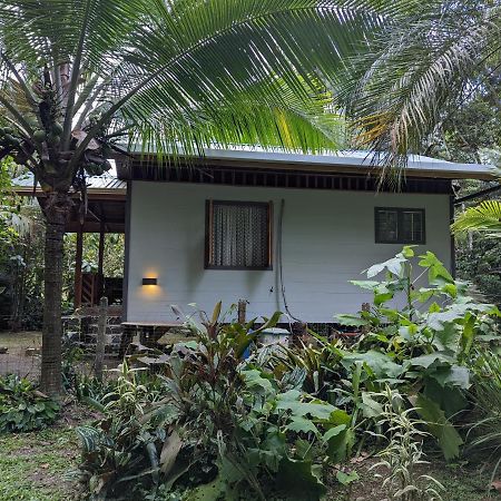 Villa Casita Bribri At Margarita Hills à Cocles Extérieur photo