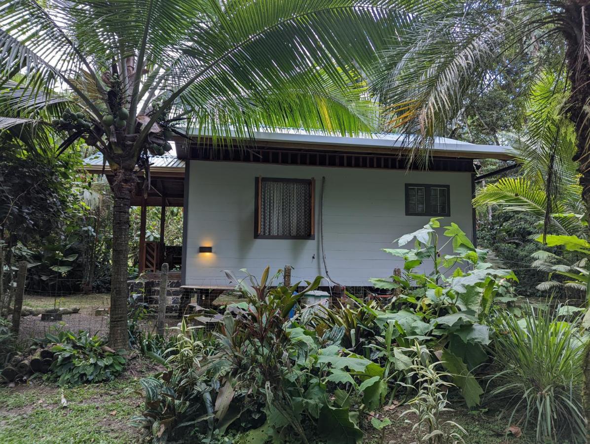 Villa Casita Bribri At Margarita Hills à Cocles Extérieur photo